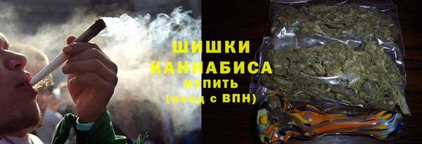 индика Волоколамск