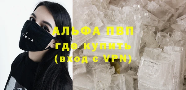 индика Волоколамск