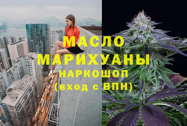 индика Волоколамск