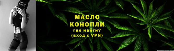 индика Волоколамск