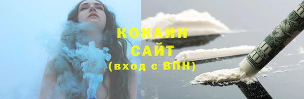 индика Волоколамск
