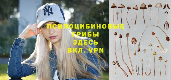 индика Волоколамск