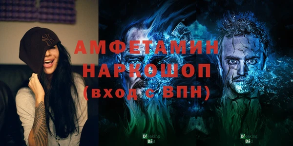 индика Волоколамск