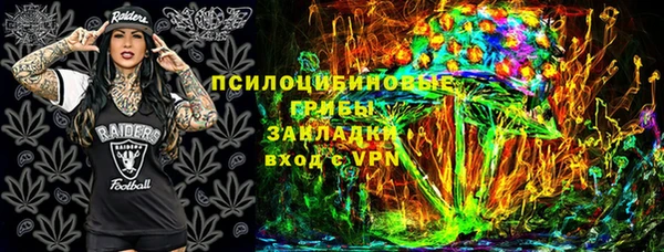 индика Волоколамск