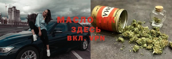 индика Волоколамск
