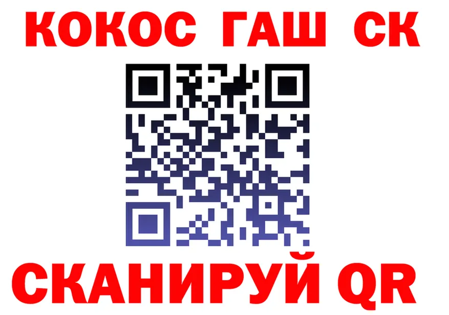 A PVP СК КРИС вход shop МЕГА Волоколамск